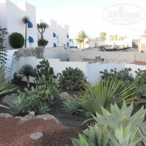 фото из отзыва ID 1698950