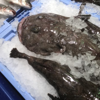 фото из отзыва ID 1699063