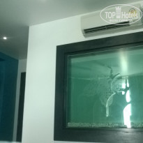 фото из отзыва ID 1699106