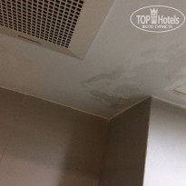 фото из отзыва ID 1699127