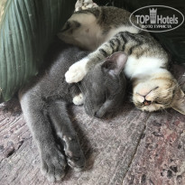 фото из отзыва ID 1699225