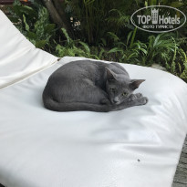 фото из отзыва ID 1699225