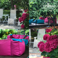 фото из отзыва ID 1699249