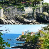 фото из отзыва ID 1699254