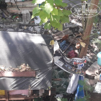 фото из отзыва ID 1699280