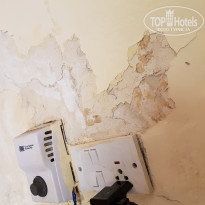 фото из отзыва ID 1699373