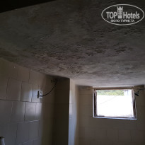 фото из отзыва ID 1699373