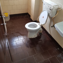 фото из отзыва ID 1699373