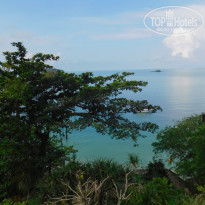 фото из отзыва ID 1699381