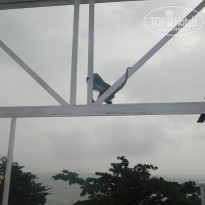 фото из отзыва ID 1699381