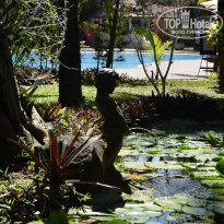 фото из отзыва ID 1699514