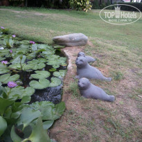 фото из отзыва ID 1699514