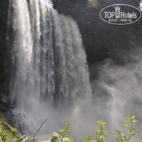 фото из отзыва ID 1699514