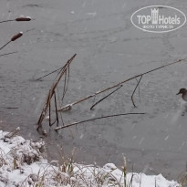 фото из отзыва ID 1699587