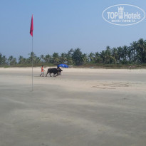 фото из отзыва ID 1699594