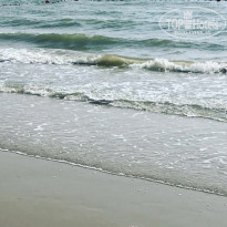 фото из отзыва ID 1699604