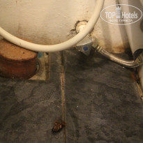 фото из отзыва ID 1699706