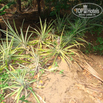 фото из отзыва ID 1699763