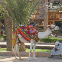 фото из отзыва ID 1699773