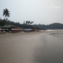 фото из отзыва ID 1699807