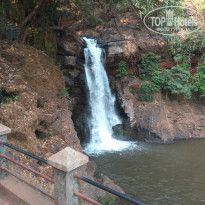 фото из отзыва ID 1699807