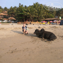 фото из отзыва ID 1699807