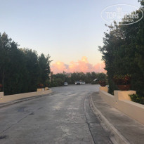 фото из отзыва ID 1699780