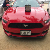 фото из отзыва ID 1699780