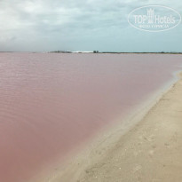 фото из отзыва ID 1699780