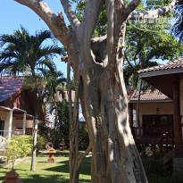 фото из отзыва ID 1699937