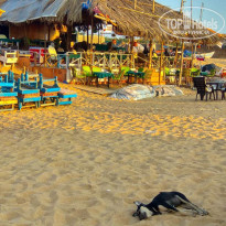 фото из отзыва ID 1699774