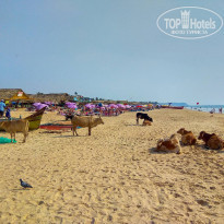 фото из отзыва ID 1699774