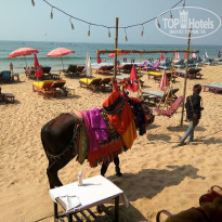 фото из отзыва ID 1699774