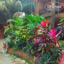 фото из отзыва ID 1699774