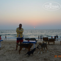 фото из отзыва ID 1699774