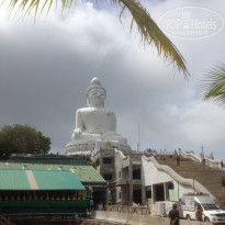 фото из отзыва ID 1697271