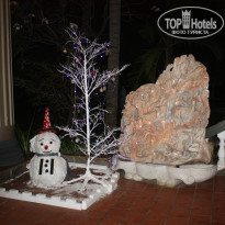 фото из отзыва ID 1698886