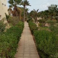 фото из отзыва ID 1694575