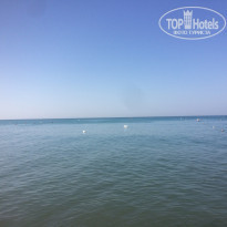 фото из отзыва ID 1697907