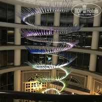 фото из отзыва ID 1695224