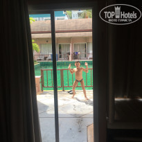 фото из отзыва ID 1700056