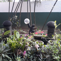 фото из отзыва ID 1700061