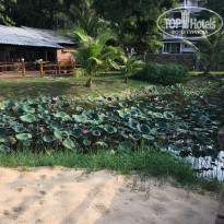 фото из отзыва ID 1700276