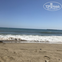 фото из отзыва ID 1700279