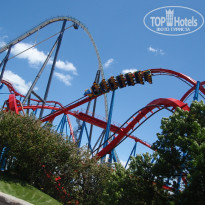 фото из отзыва ID 1700353