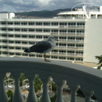 фото из отзыва ID 1700500