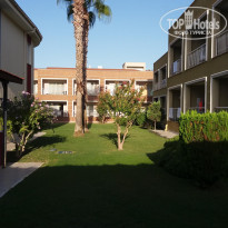 фото из отзыва ID 1700544