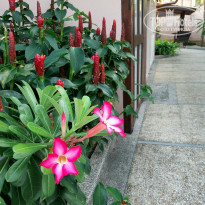 фото из отзыва ID 1700646