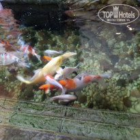 фото из отзыва ID 1700646