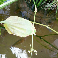 фото из отзыва ID 1700646